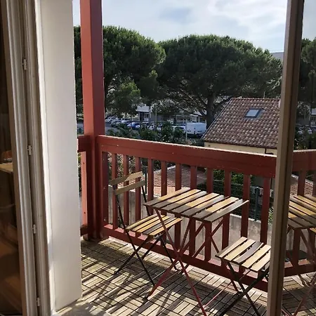 דירה - Petricot - Balcon - Calme